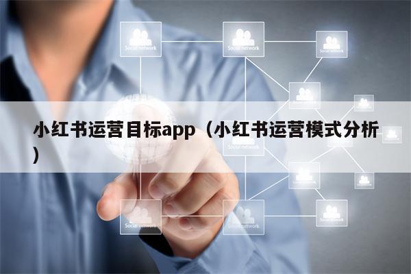 小红书运营目标app（小红书运营模式分析）