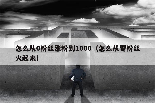 怎么从0粉丝涨粉到1000（怎么从零粉丝火起来）