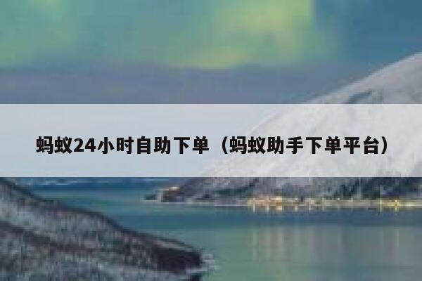 蚂蚁24小时自助下单（蚂蚁助手下单平台）