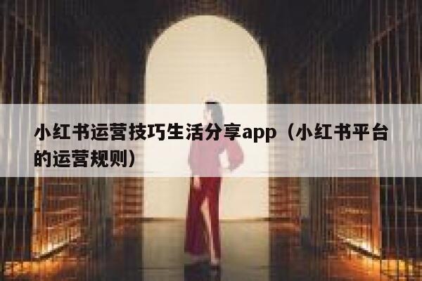 小红书运营技巧生活分享app（小红书平台的运营规则）