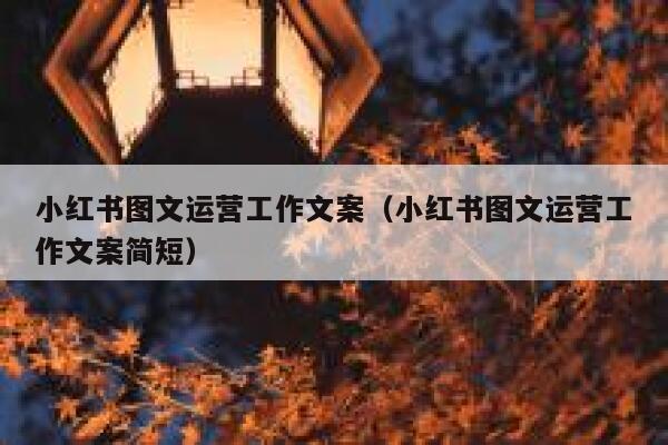 小红书图文运营工作文案（小红书图文运营工作文案简短）