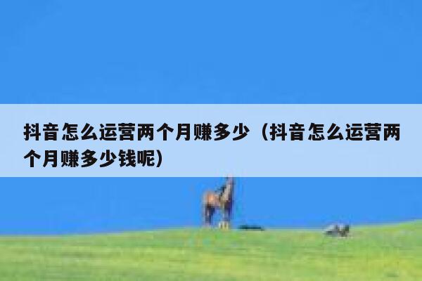 抖音怎么运营两个月赚多少（抖音怎么运营两个月赚多少钱呢）