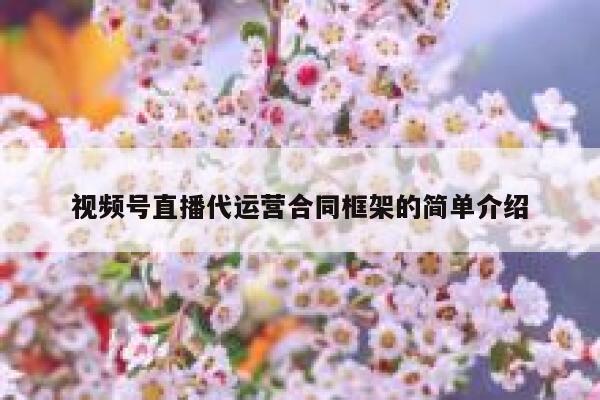 视频号直播代运营合同框架的简单介绍