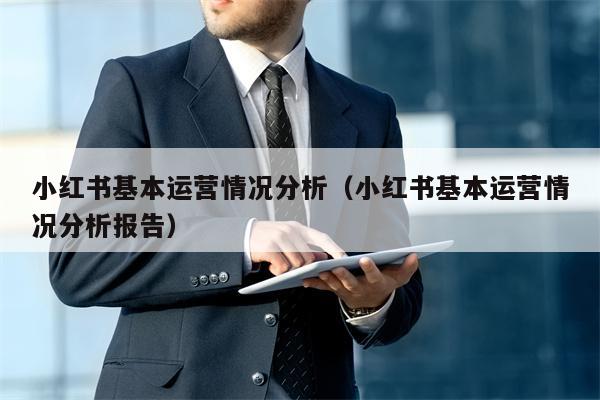 小红书基本运营情况分析（小红书基本运营情况分析报告）