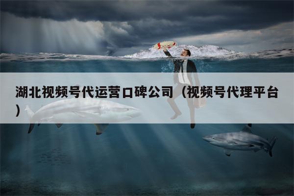 湖北视频号代运营口碑公司（视频号代理平台）