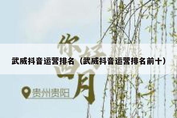 武威抖音运营排名（武威抖音运营排名前十）