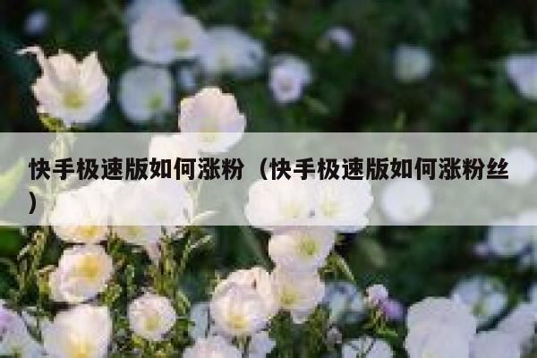 快手极速版如何涨粉（快手极速版如何涨粉丝）