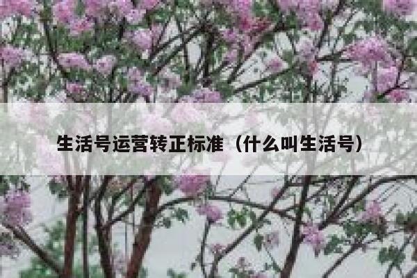 生活号运营转正标准（什么叫生活号）