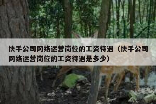 快手公司网络运营岗位的工资待遇（快手公司网络运营岗位的工资待遇是多少）