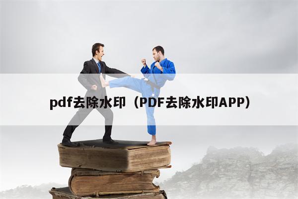 pdf去除水印（PDF去除水印APP）