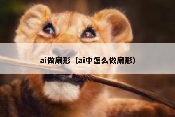 ai做扇形（ai中怎么做扇形）