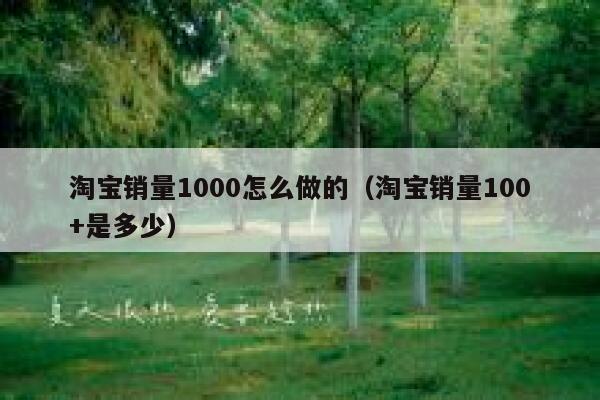 淘宝销量1000怎么做的（淘宝销量100+是多少）