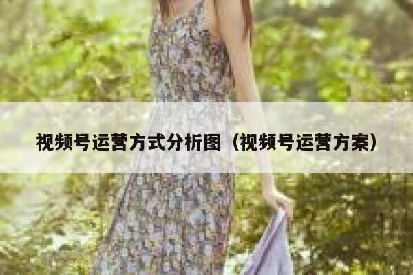 视频号运营方式分析图（视频号运营方案）