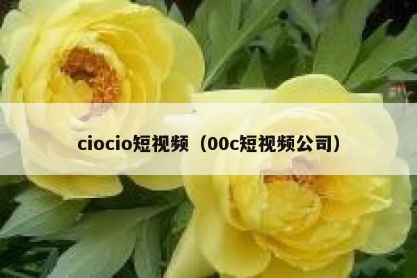 ciocio短视频（00c短视频公司）