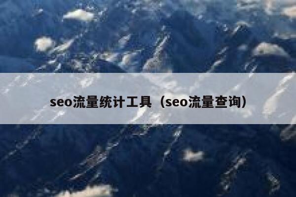 seo流量统计工具（seo流量查询）