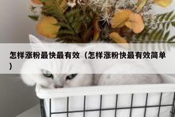 怎样涨粉最快最有效（怎样涨粉快最有效简单）