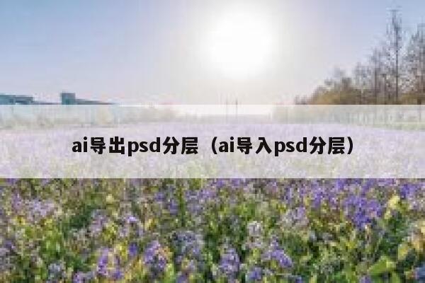 ai导出psd分层（ai导入psd分层）