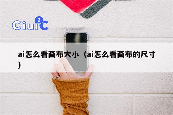 ai怎么看画布大小（ai怎么看画布的尺寸）