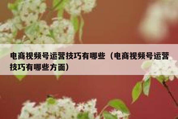 电商视频号运营技巧有哪些（电商视频号运营技巧有哪些方面）