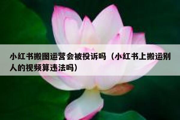 小红书搬图运营会被投诉吗（小红书上搬运别人的视频算违法吗）