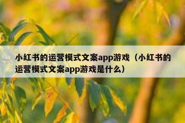 小红书的运营模式文案app游戏（小红书的运营模式文案app游戏是什么）