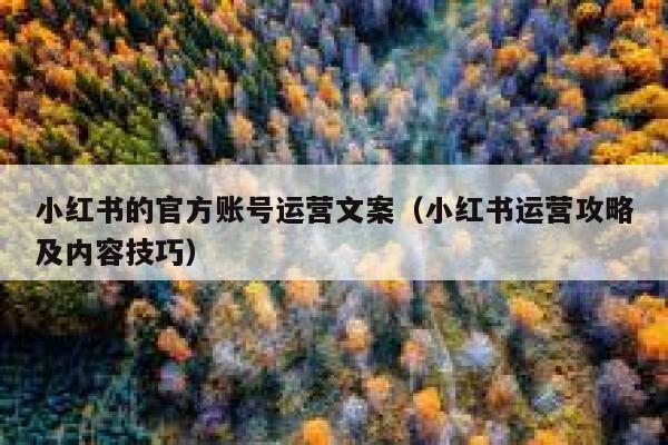 小红书的官方账号运营文案（小红书运营攻略及内容技巧）