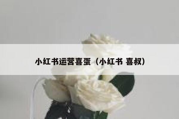 小红书运营喜蛋（小红书 喜叔）