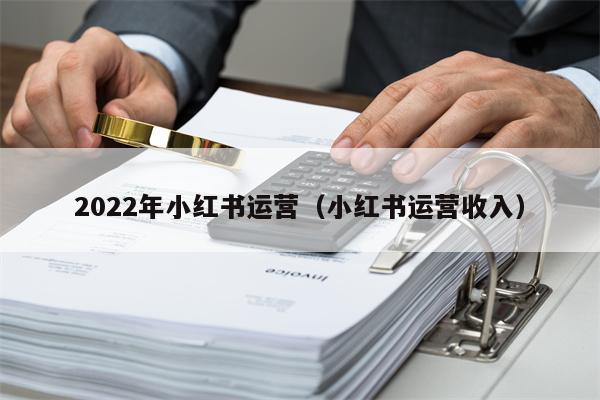 2022年小红书运营（小红书运营收入）