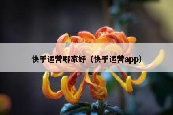 快手运营哪家好（快手运营app）