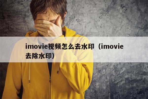 imovie视频怎么去水印（imovie去除水印）