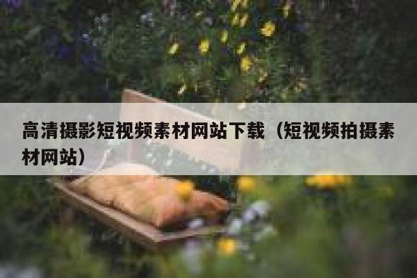 高清摄影短视频素材网站下载（短视频拍摄素材网站）