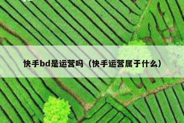 快手bd是运营吗（快手运营属于什么）