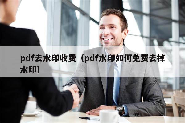 pdf去水印收费（pdf水印如何免费去掉水印）