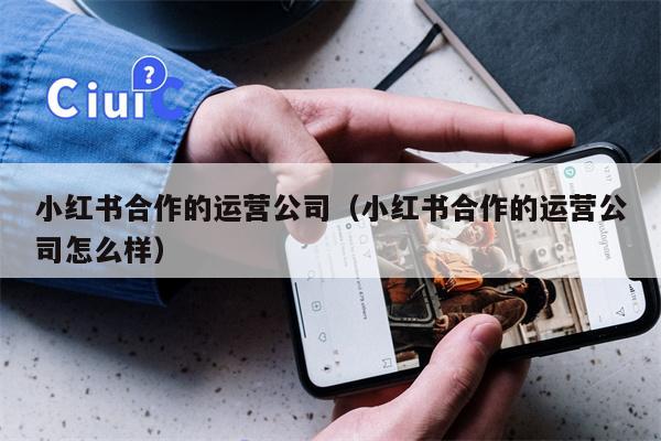 小红书合作的运营公司（小红书合作的运营公司怎么样）